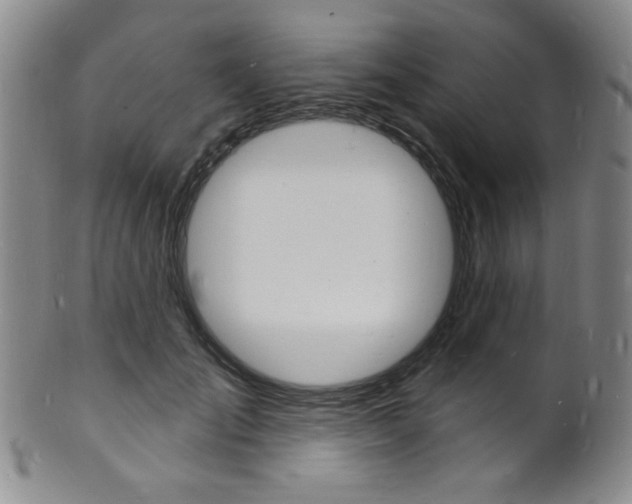 X0000101690701200807101208