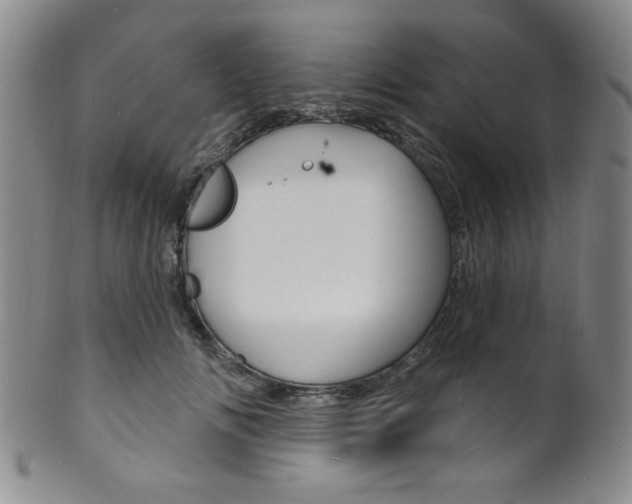 X0000101690702200807101208