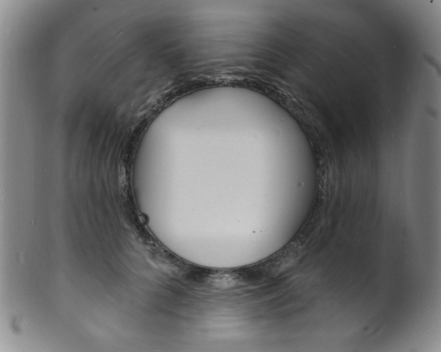 X0000101690704200807101208