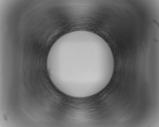 X0000101690705200807101208