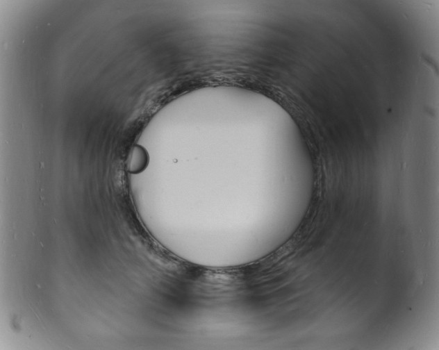 X0000101690706200807101208