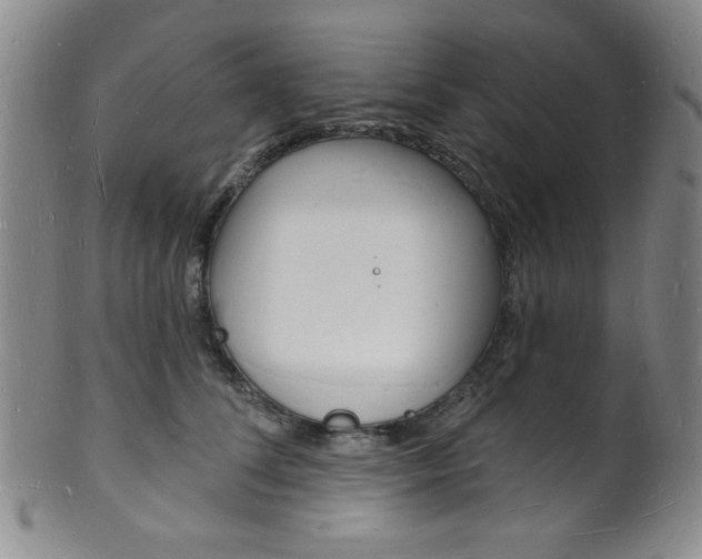 X0000101690708200807101208