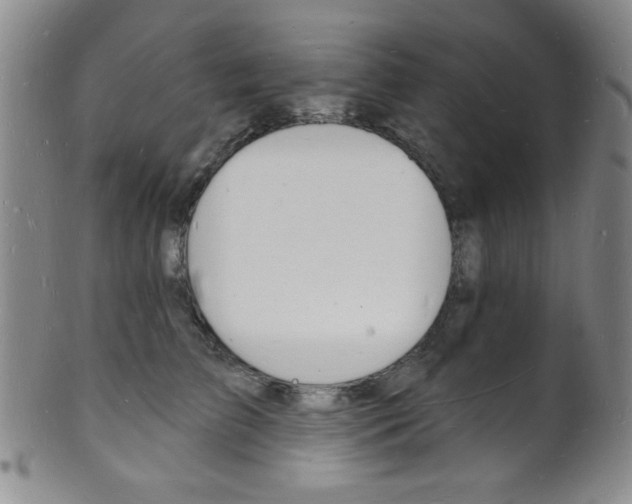 X0000101690709200807101208