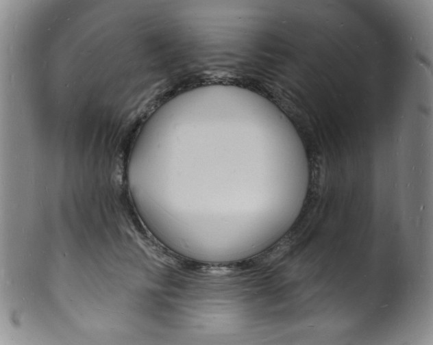 X0000101690710200807101208