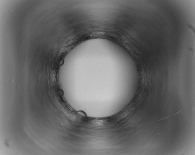 X0000101690711200807101208