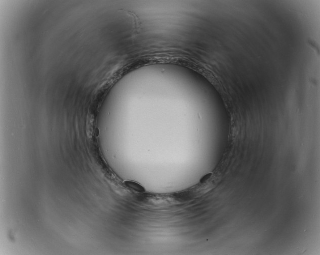 X0000101690712200807101208