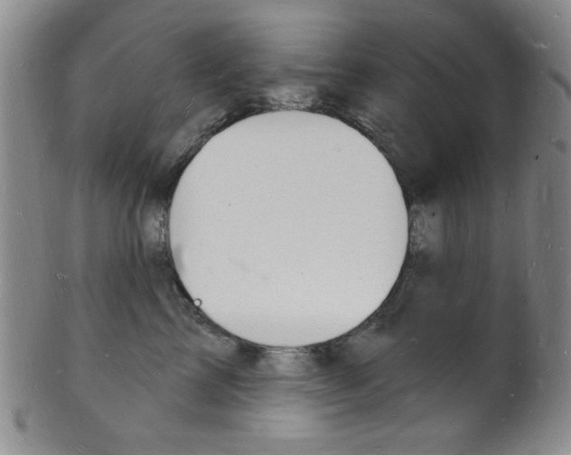 X0000101690713200807101208