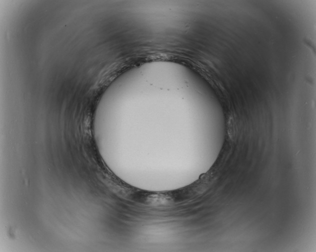 X0000101690714200807101208