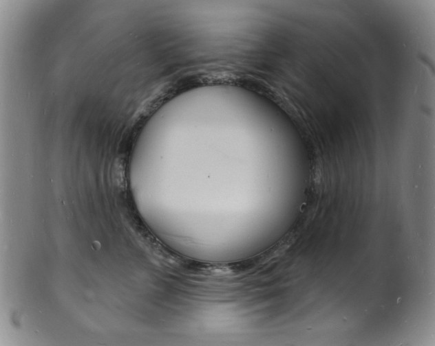 X0000101690715200807101208