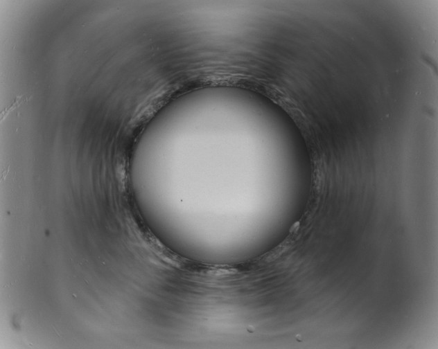 X0000101690716200807101208
