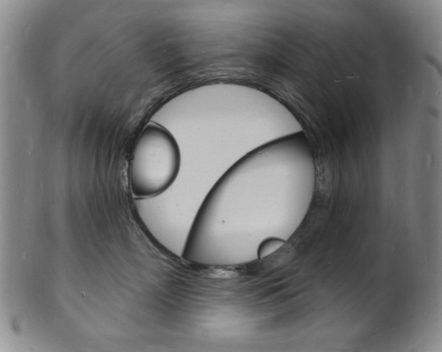 X0000101690718200807101208