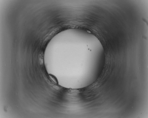 X0000101690719200807101208