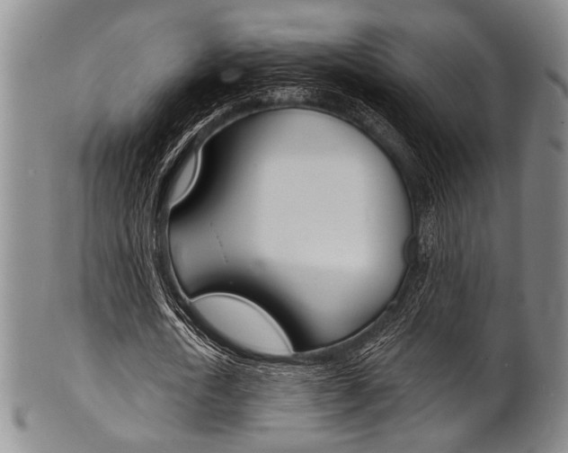 X0000101690722200807101207