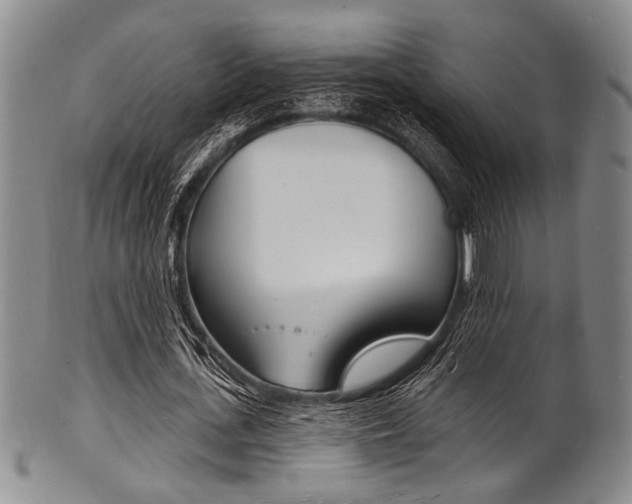 X0000101690723200807101207
