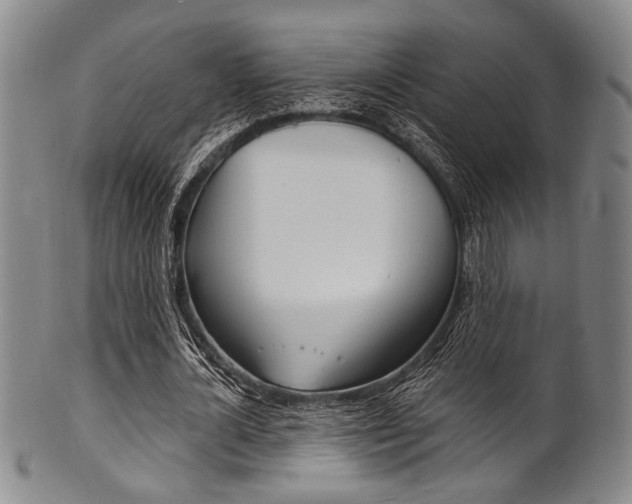 X0000101690724200807101207