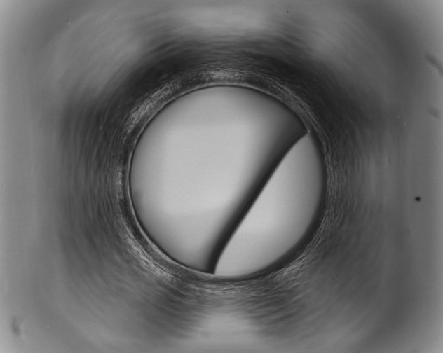 X0000101690725200807101207