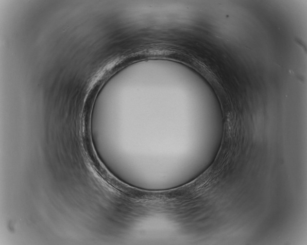 X0000101690726200807101207