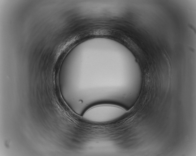 X0000101690727200807101207