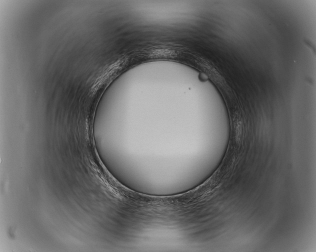 X0000101690729200807101207