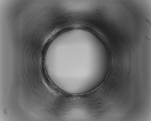 X0000101690730200807101207