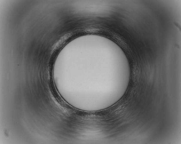 X0000101690734200807101207
