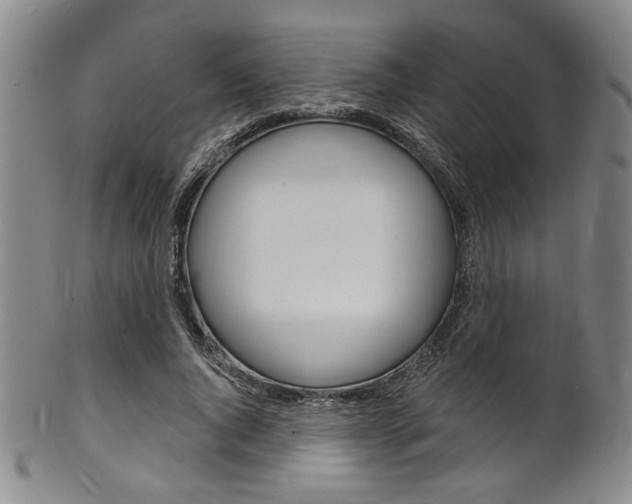 X0000101690736200807101207
