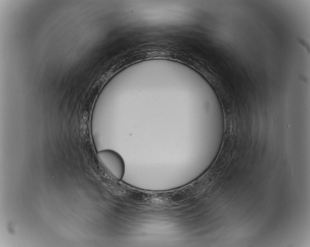 X0000101690737200807101207