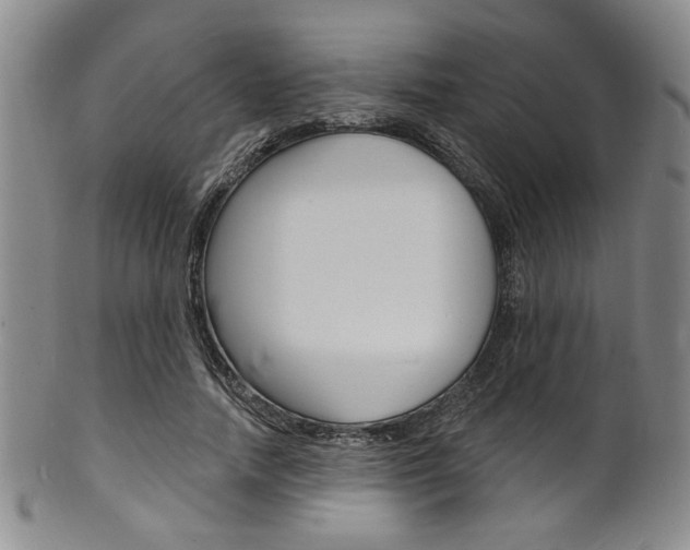X0000101690738200807101207
