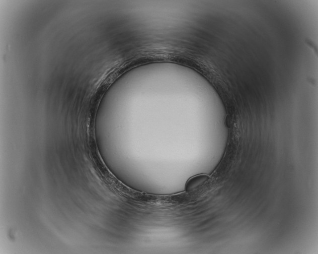 X0000101690739200807101207
