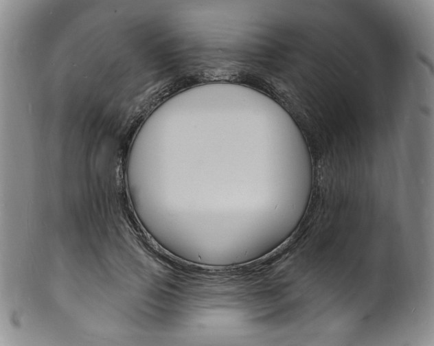 X0000101690741200807101207