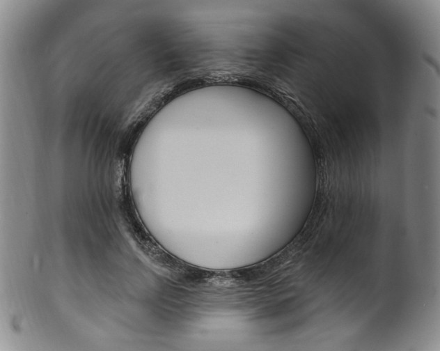 X0000101690742200807101207
