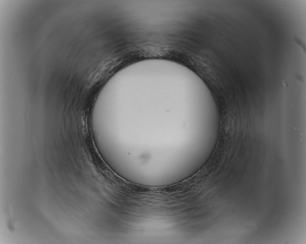 X0000101690743200807101207
