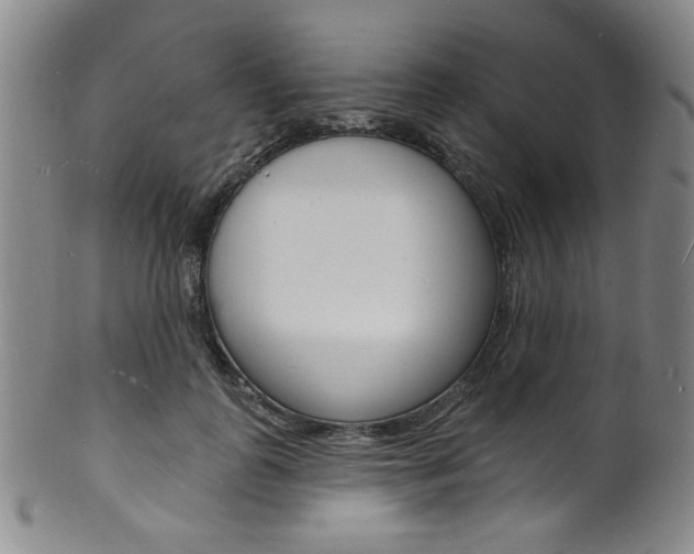 X0000101690747200807101207