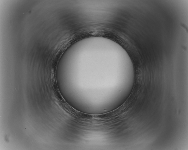 X0000101690748200807101207