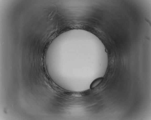 X0000101690749200807101207