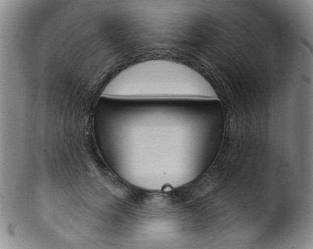 X0000101690750200807101207
