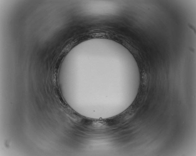 X0000101690753200807101207