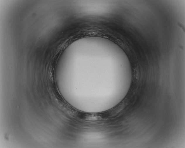 X0000101690754200807101207