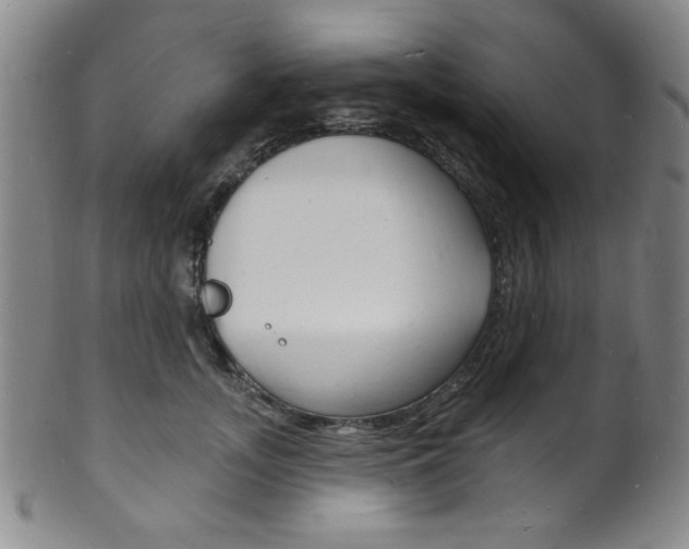 X0000101690755200807101207