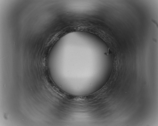 X0000101690756200807101207