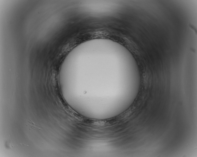 X0000101690757200807101208