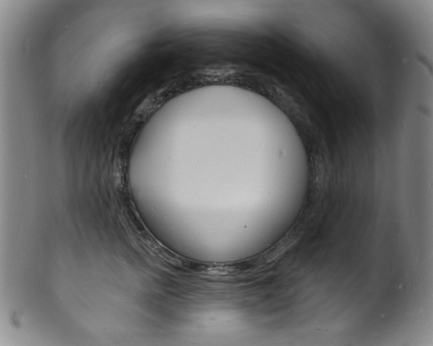 X0000101690758200807101208