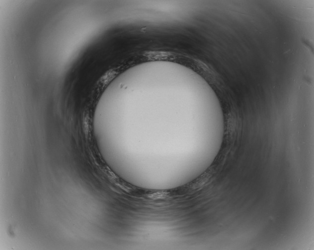 X0000101690761200807101208