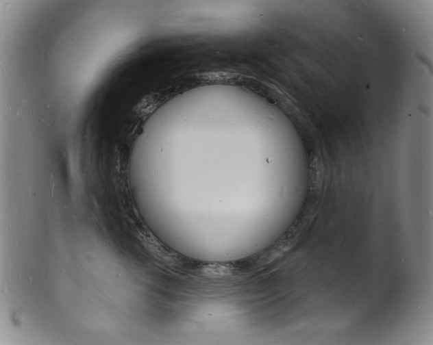 X0000101690762200807101208
