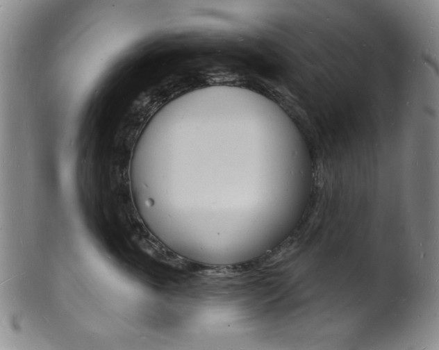 X0000101690763200807101208