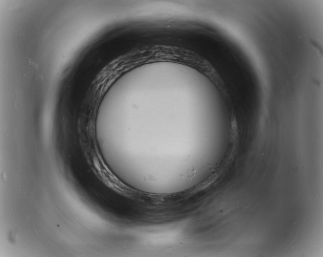 X0000101690765200807101208