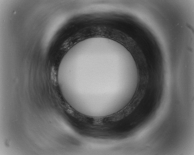 X0000101690766200807101208