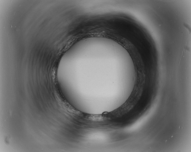 X0000101690767200807101208