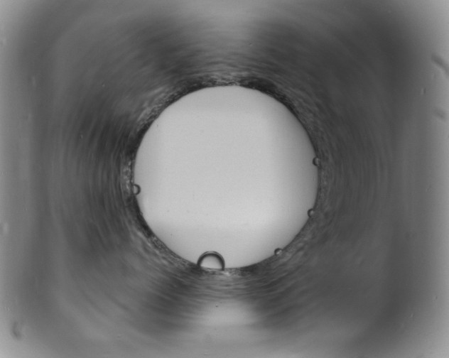 X0000101690768200807101208