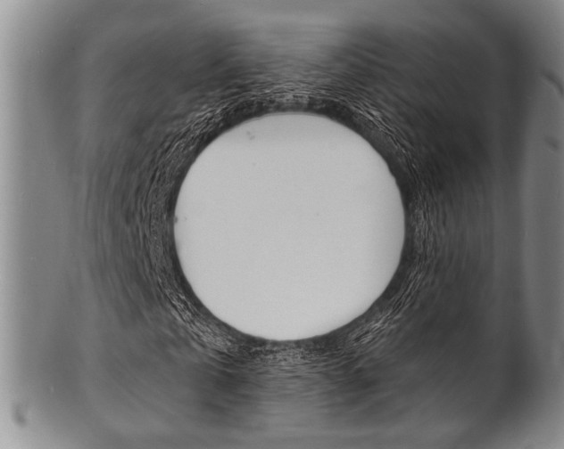 X0000101690769200807101207